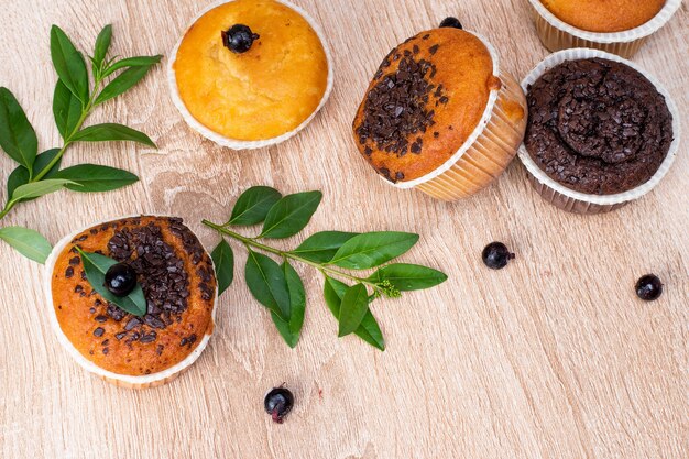 Chocolate muffin and nut muffin, homemade bakery on dark background.