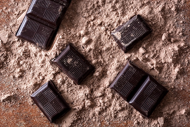 Chocolate pieces on chocolate powder 