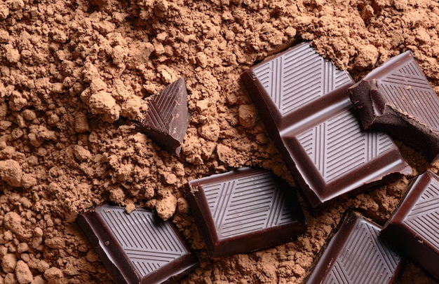 Chocolate pieces with cocoa powder closeup