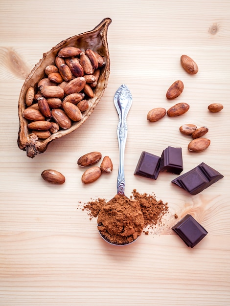 Photo chocolate powder and roasted cocoa beans