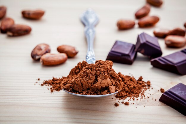 Chocolate powder and roasted cocoa beans 