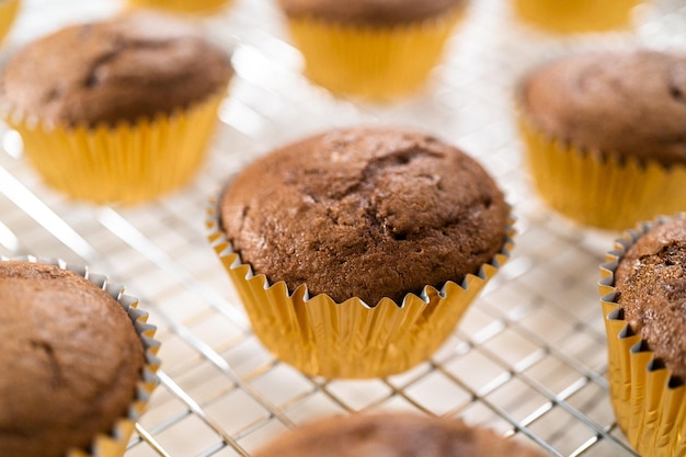 Chocolate raspberry cupcakes