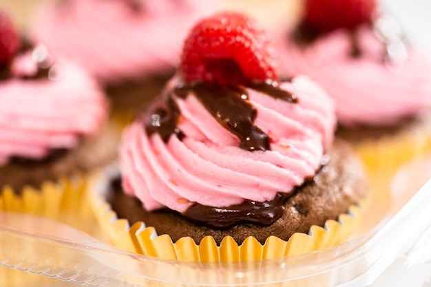 Chocolate raspberry cupcakes