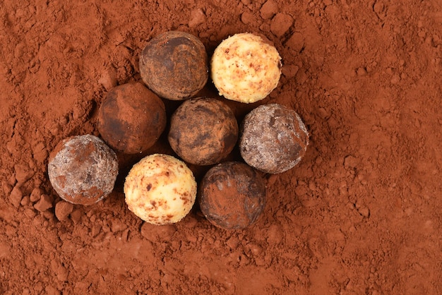 Chocolate truffle isolated on white background