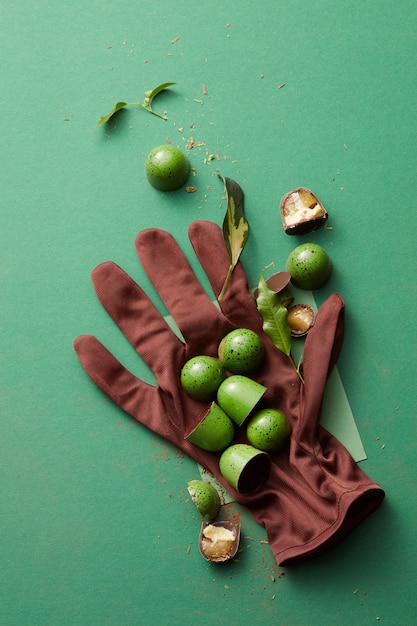 Foto cioccolatini sul guanto e foglie su un tavolo verde