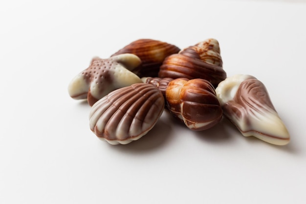 Chocolates seashells isolated on white background