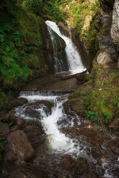 Chodor-waterval bij meer teletskoye in het altai-gebergte