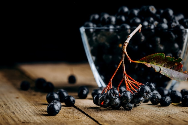 Chokeberry (Aronia melanocarpic) on a wooden table.