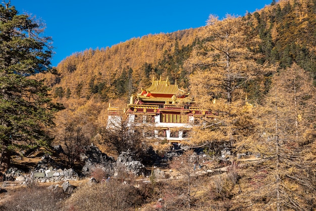  Chonggu temple on Yading nature reserve