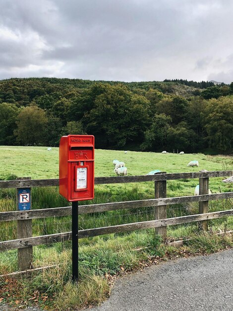 Choose the Right Post Box for Your Needs