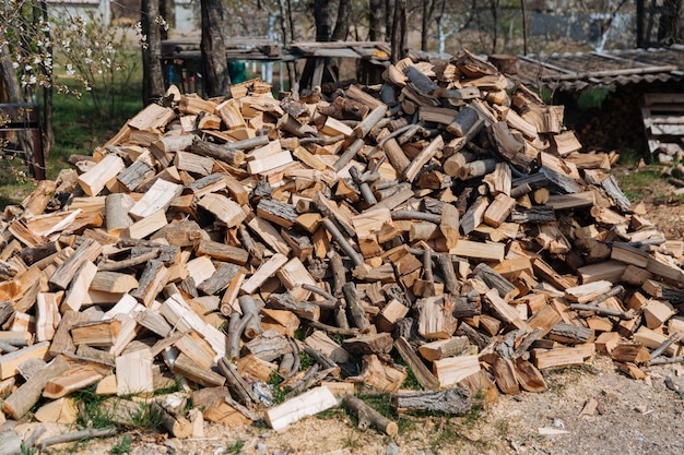 Chopped firewood from different species of trees preparation of firewood for the winter