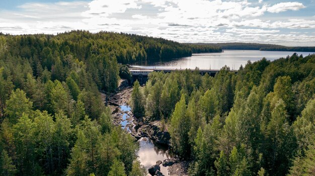 нарезанные дрова лежат в дровяном сарае. Фото высокого качества