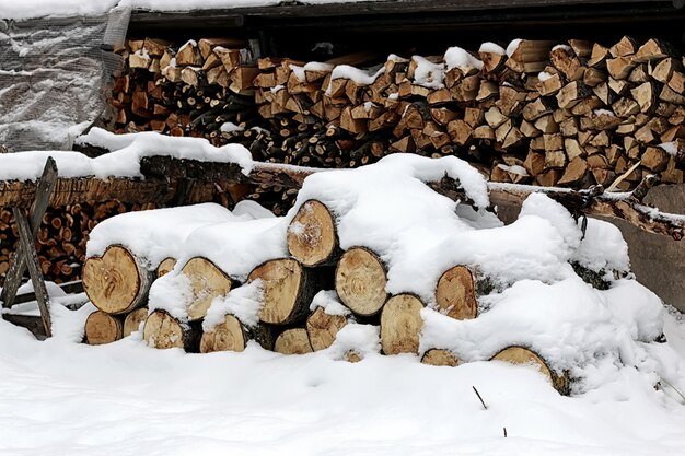 Chopped firewood in woodpile