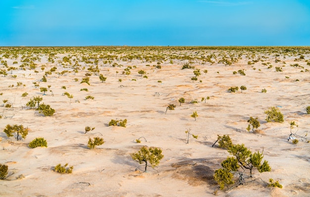 Chott el Djerid een endorheïsch zoutmeer in Tunesië