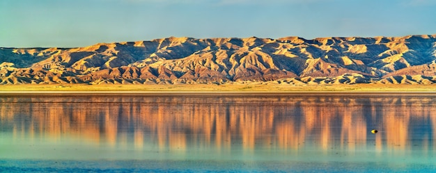 チュニジアの内陸流域の塩湖、Chott el Djerid