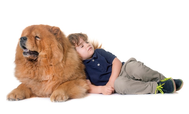 chow chow dog and little boy