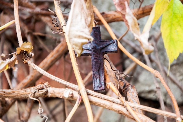 Christendom in de natuur