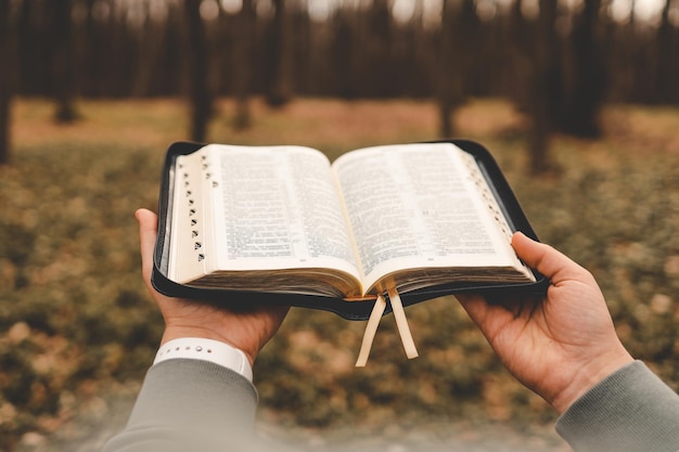 Christian illustration of a girl holding an open Bible against a forest backdrop