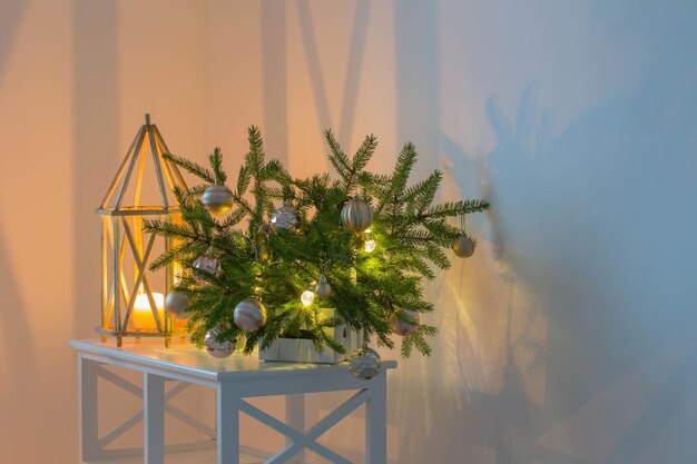 マルチカラーの照らされた壁の背景にモミの枝のクリスマスの配置