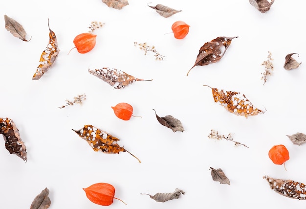 Christmas or autumn composition Dry autumn leaves and physalis Top view flat lay copy space