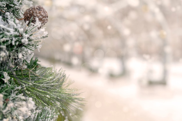 クリスマスの背景 - 枝、雪。