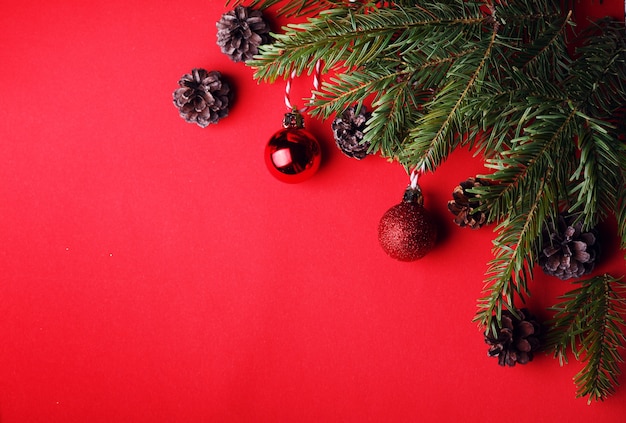 A christmas background Christmas tree twigs Christmas balls and cones on a red background