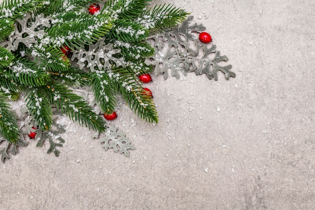 Christmas background. New year fir tree, dog rose, fresh leaves and artificial snow. 