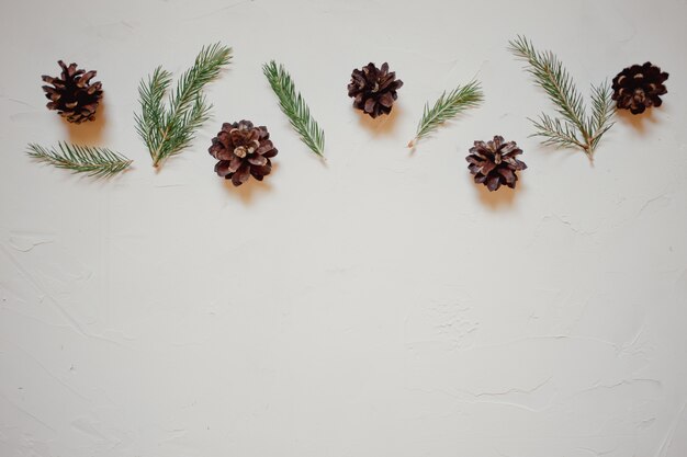 Christmas background with fir tree branches and cones.