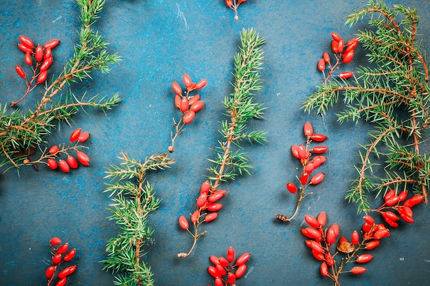 Christmas background with red barberry berries and spruce branches.