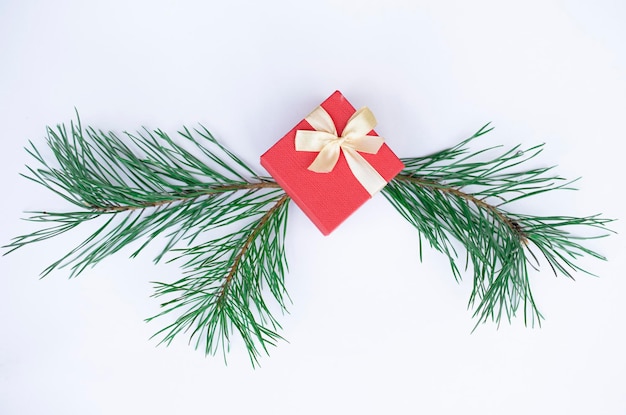 無料コピー スペース、ベリー、プレゼント、ギフトとモミの木とクリスマスの背景