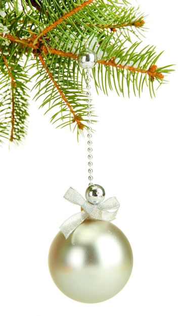 Christmas ball on fir tree, isolated on white