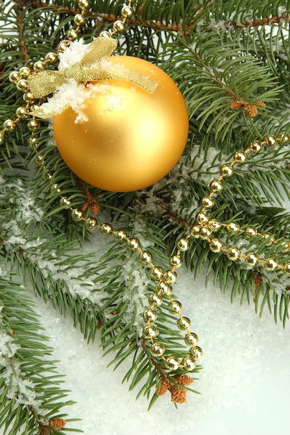 Christmas ball on fir tree with snow, isolated on white