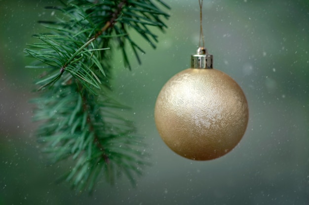 Christmas ball on a fir tree