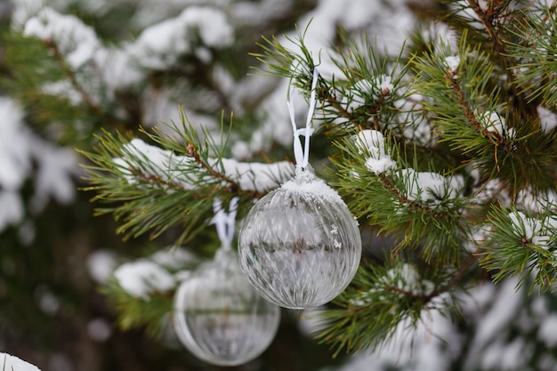 Christmas ball on the fir