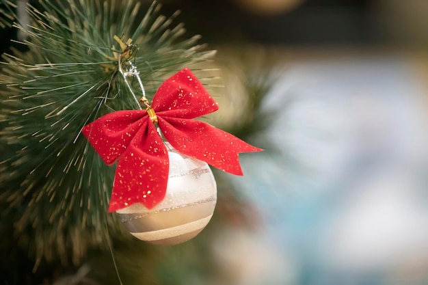 Christmas ball hanging on a green branch of a Christmas tree