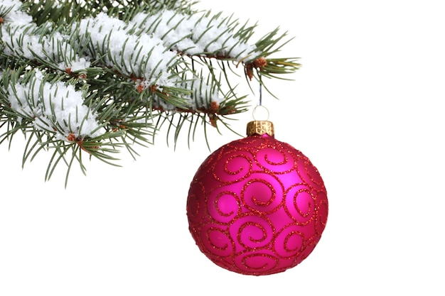 Christmas ball on the tree isolated on white