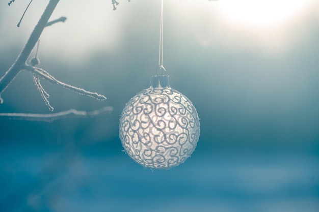 Christmas ball on tree outdoors creative photo new year christmas