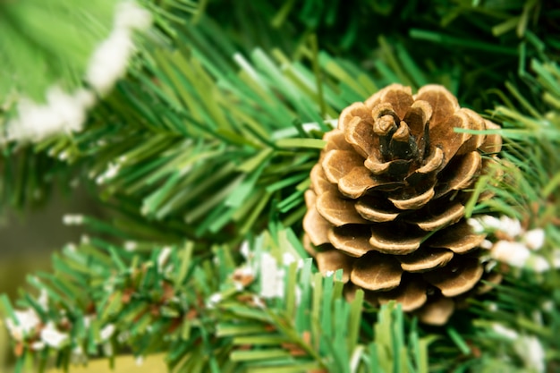 Photo christmas ball on tree.