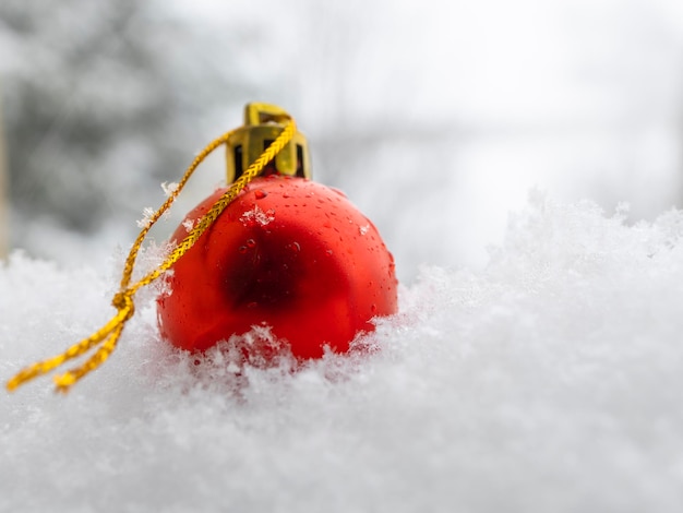 雪の中でクリスマスの安物の宝石 単一の赤い安物の宝石