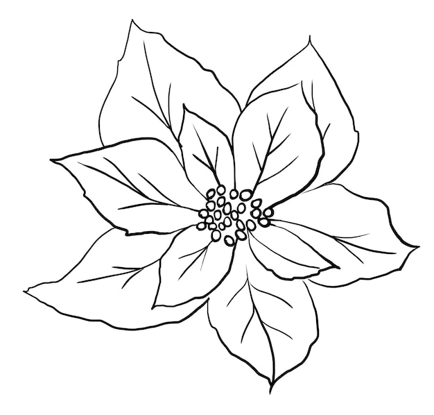 Christmas black outline Poinsettia flower Winter holiday party design element