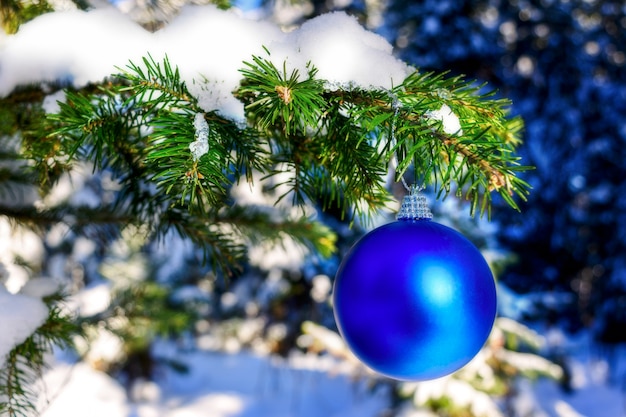 森の木の枝にクリスマスの青い飾り