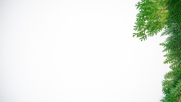 디자인을 위한 공간이 있는 크리스마스 테두리입니다. 흰색 배너에 아름 다운 녹색 전나무 나무 가지 장식입니다. 겨울 노엘 개념입니다. 프레임 새 해 배경의 상위 뷰입니다.