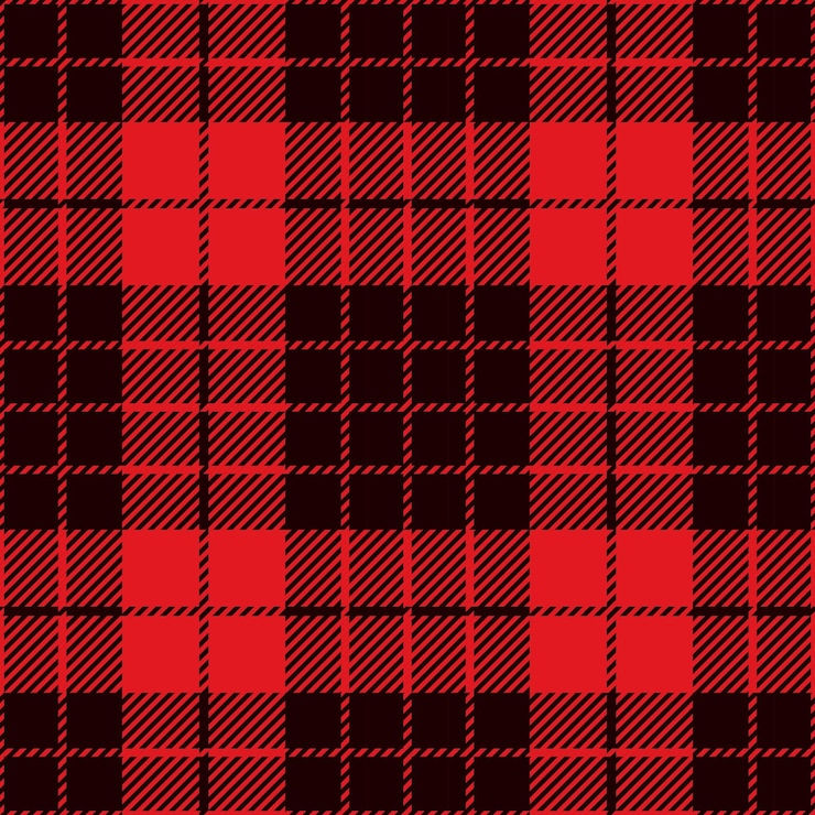 Photo christmas buffalo plaid digital paper