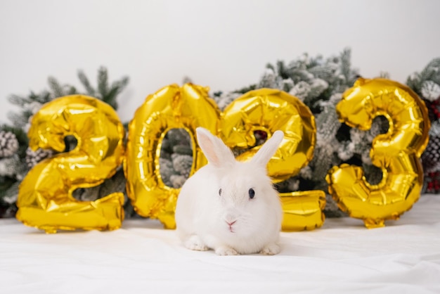 Foto coniglietto di natale 2023 coniglio con palloncini in lamina d'oro numero 2023 e rami di un albero di natale coniglietto divertente di capodanno con un'acconciatura divertente su uno sfondo bianco festivo di natale