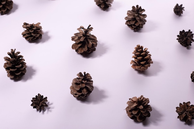 Christmas composition of fir tree cones on a white background