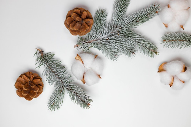 흰색 배경에 자연 상록 전나무 sprigs와 크리스마스 구성 소나무 콘