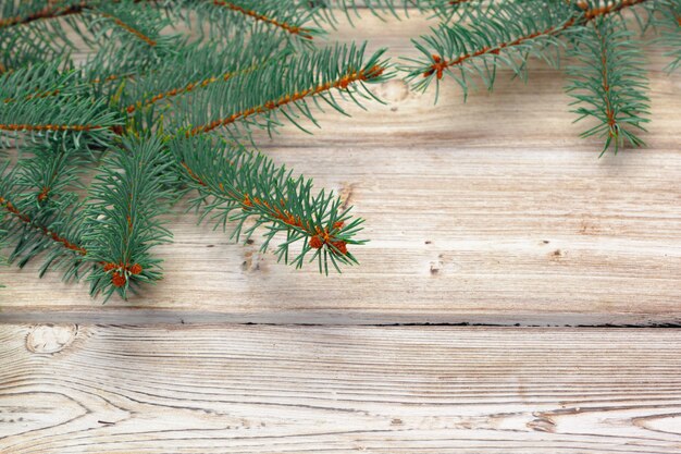 Christmas composition with fir tree branches on wood