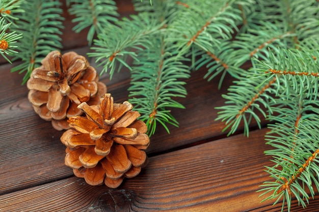 Christmas composition with fir tree branches