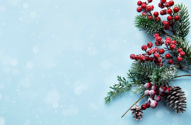 Christmas composition with snowy fir branches on blue pastel background