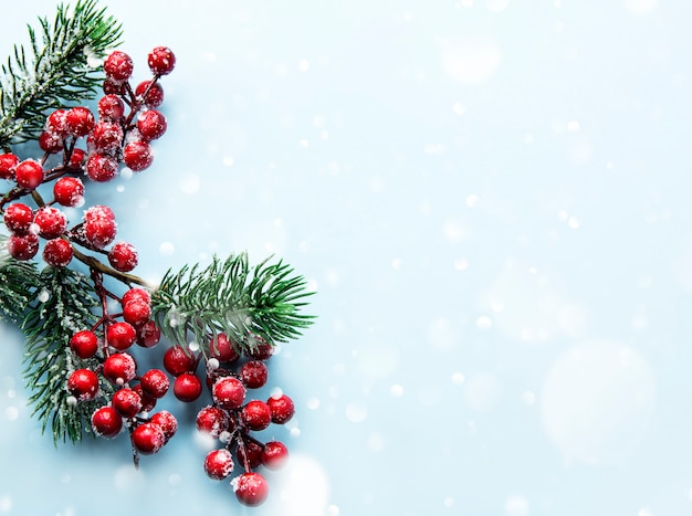 Christmas composition with snowy fir branches on blue pastel background